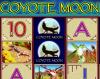 Kojotų mėnulis, žaidimų automatas