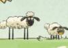 Go home, sheep