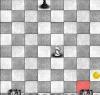 Chess race